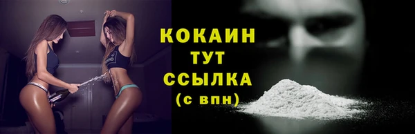 кокс Арсеньев