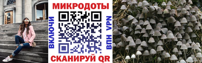 Псилоцибиновые грибы MAGIC MUSHROOMS  omg ТОР  Нефтегорск 